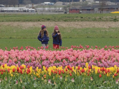 Tansy explains things to Lola
